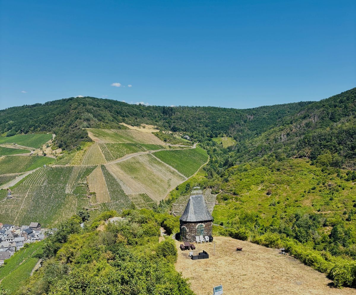 Come attirare più visitatori nella propria tenuta vinicola?